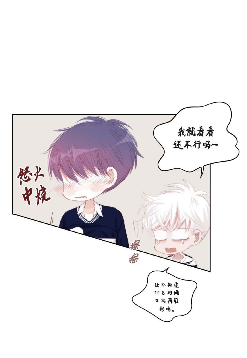 48 我不想犯傻43