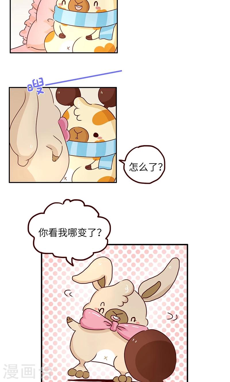 第39话  必死题1