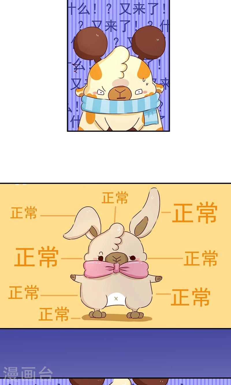 第39话  必死题5