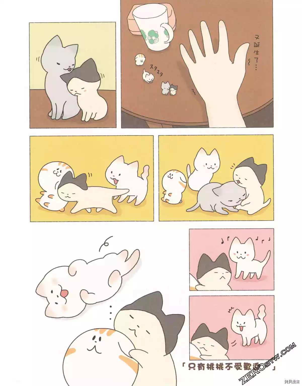 第3卷27