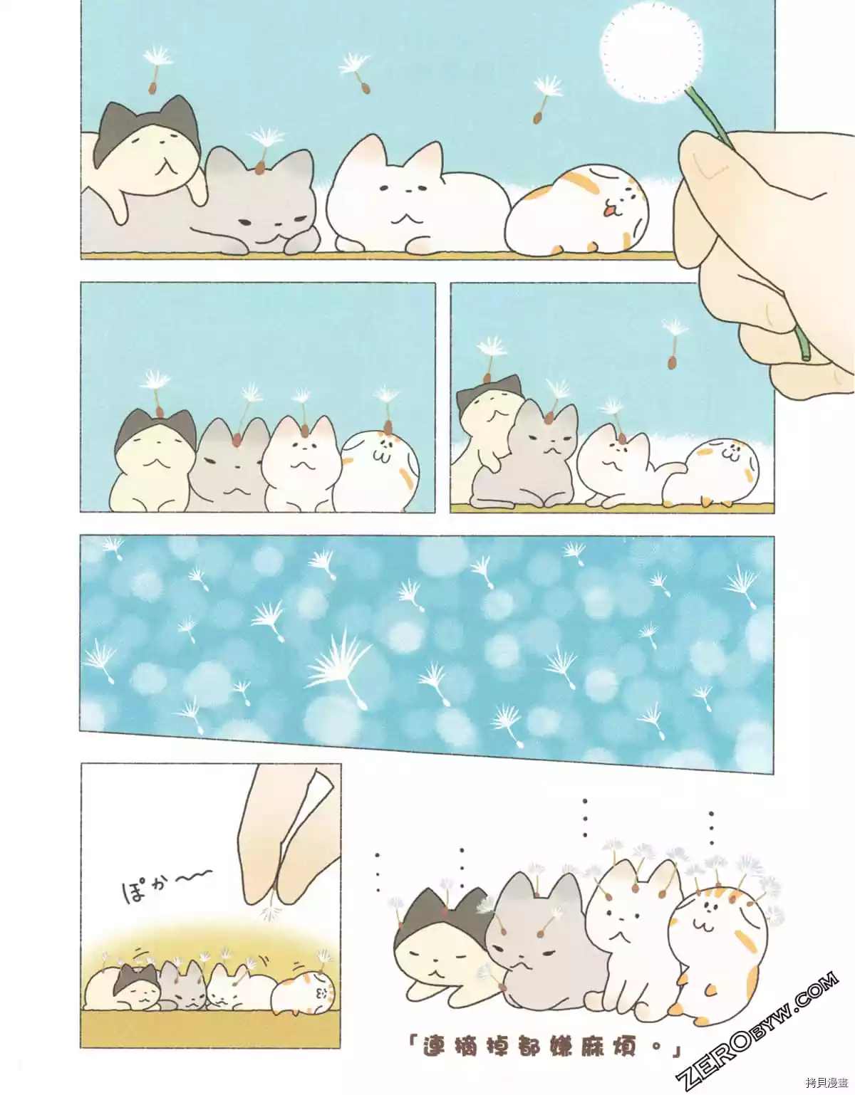 第3卷55