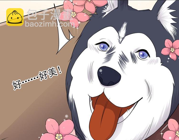 第14话：遇见你也是我的幸运19