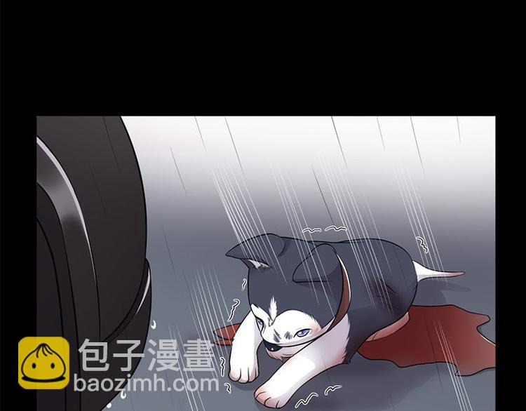 第14话：遇见你也是我的幸运61