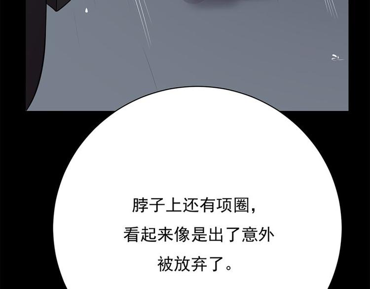 第14话：遇见你也是我的幸运62