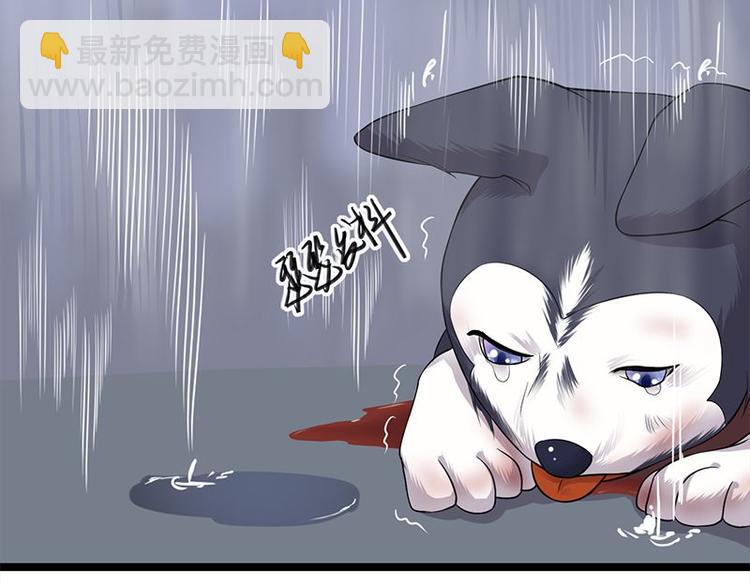 第14话：遇见你也是我的幸运72