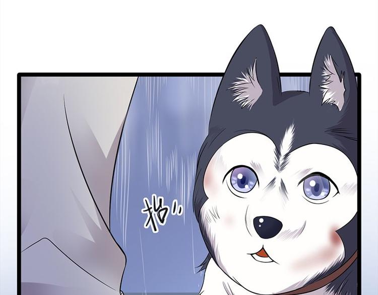 第14话：遇见你也是我的幸运74