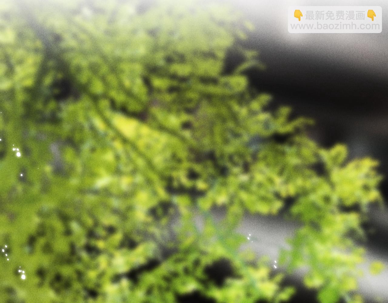 第七十八章 如胶投漆11