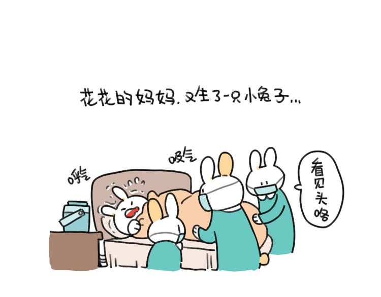 第47话：比小兔子更可爱的0
