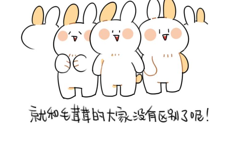 第55话：异于常兔的理由12