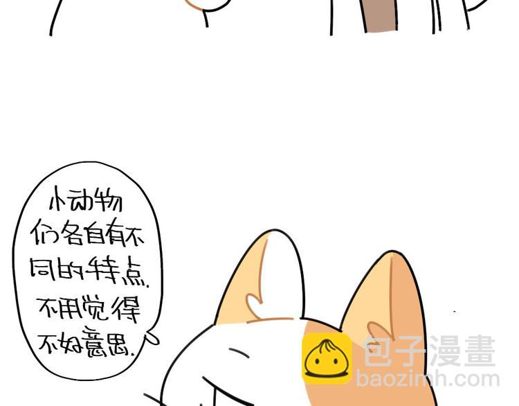 第72话：晕倒的小兔子9