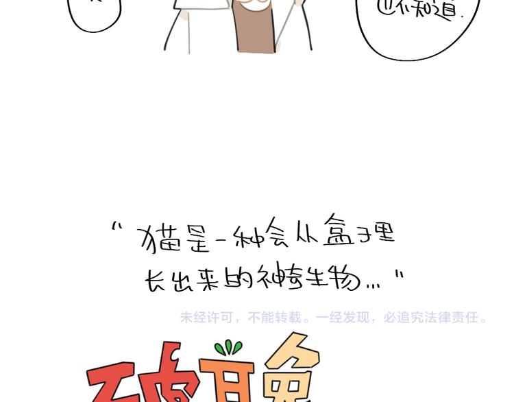 第93话：猫是一种神奇的生物11