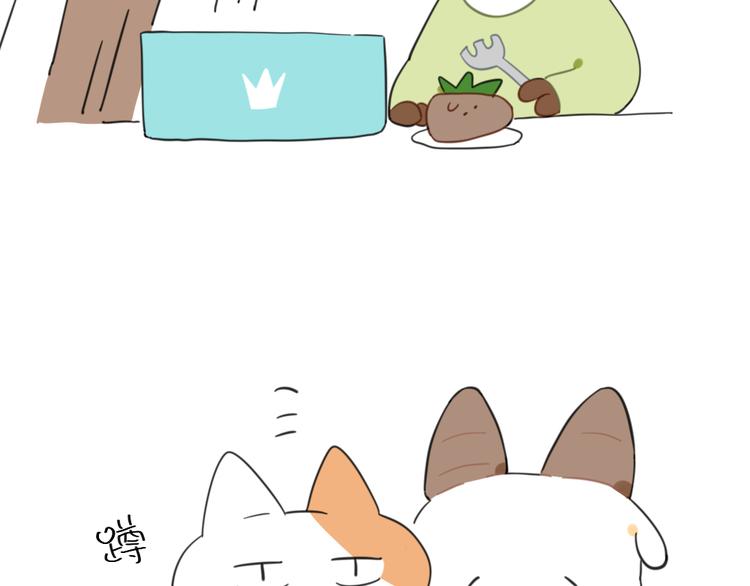 第93话：猫是一种神奇的生物8