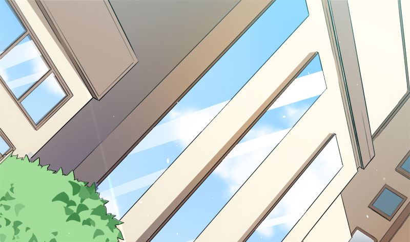 028家养3
