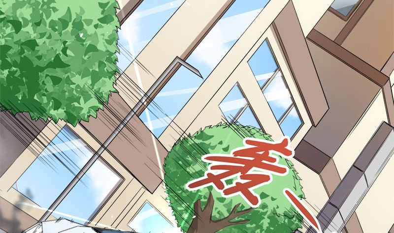 028家养4
