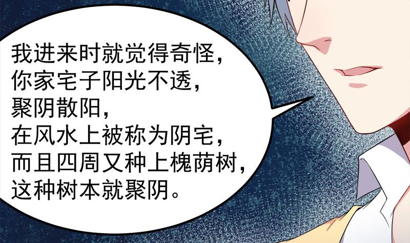 028家养53