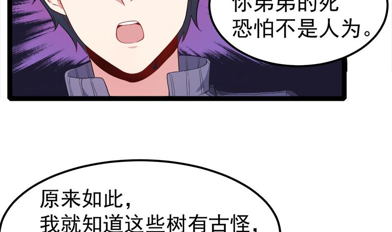 028家养55