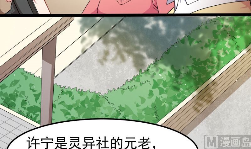 028家养8