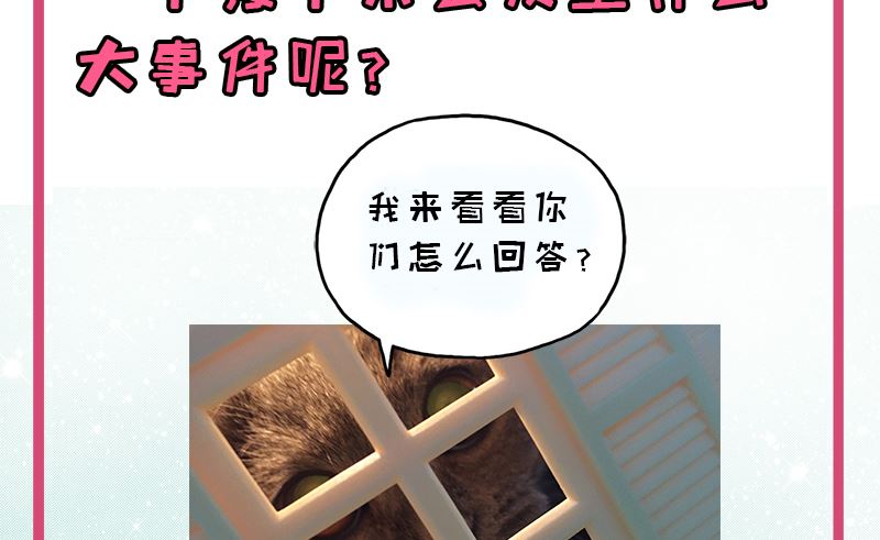 028家养95