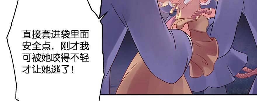 小王妃的司命册116
