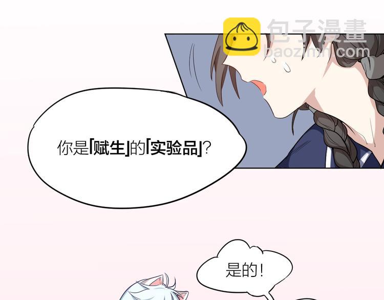 第3话 猫咪肚皮手感棒34