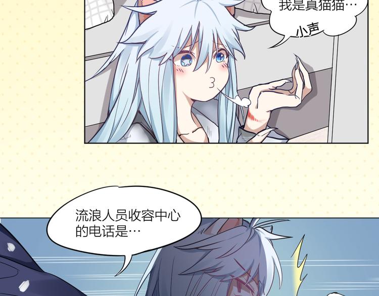 第3话 猫咪肚皮手感棒6