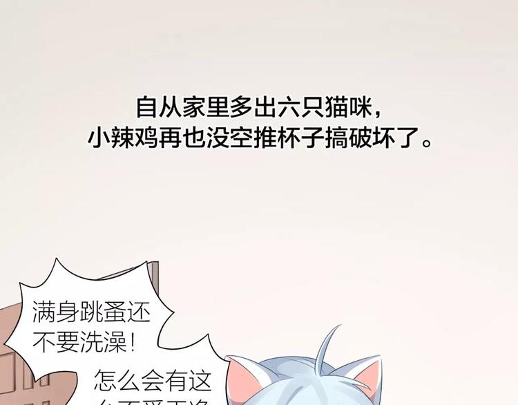 第22话 绝育手术？38