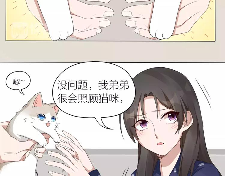第22话 绝育手术？7