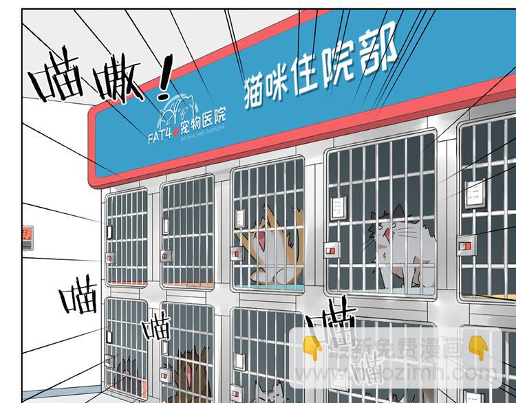 第58话 性感护工，在线撸猫38