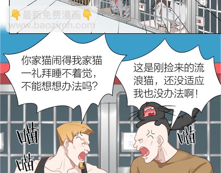 第58话 性感护工，在线撸猫39