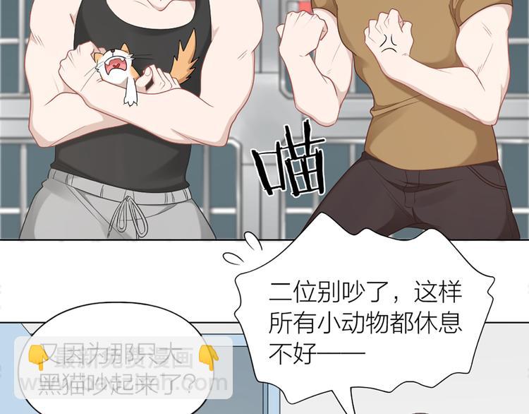 第58话 性感护工，在线撸猫40