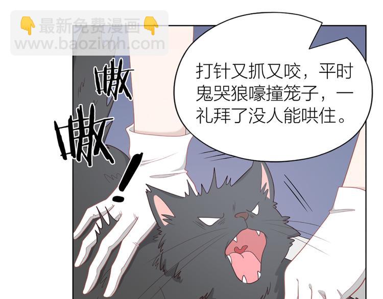 第58话 性感护工，在线撸猫42
