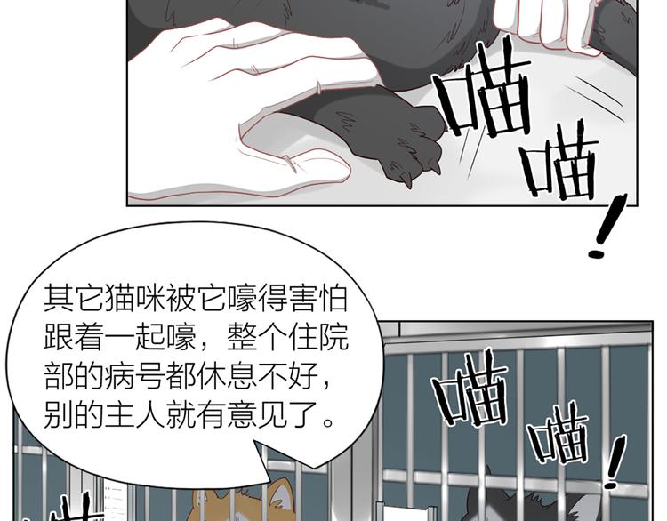 第58话 性感护工，在线撸猫43