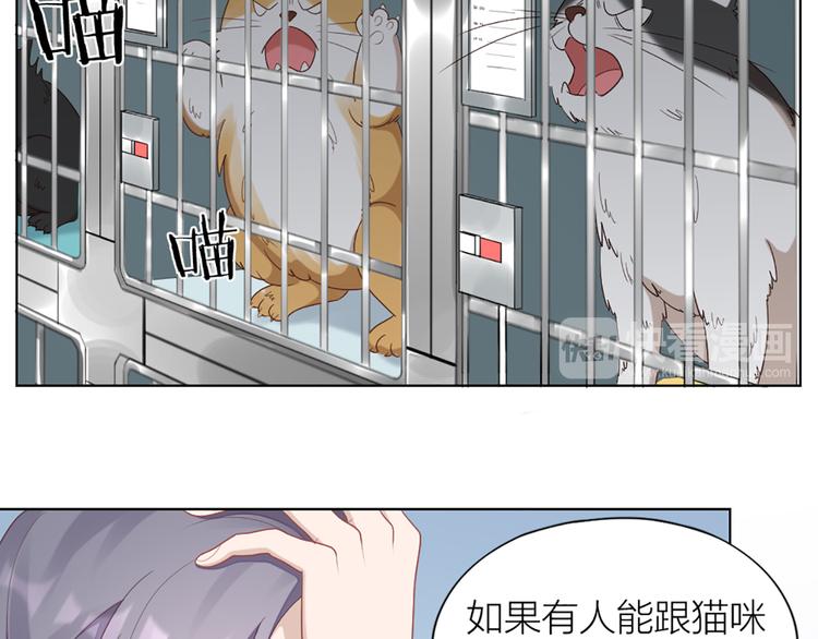 第58话 性感护工，在线撸猫44