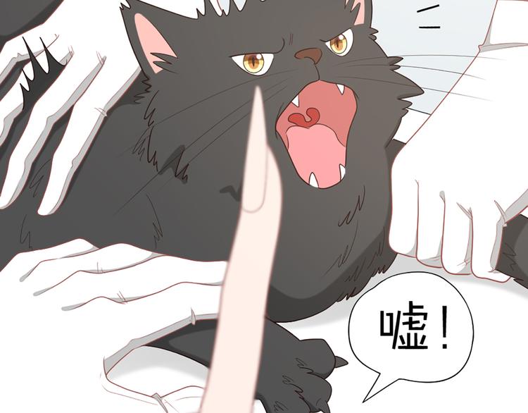 第58话 性感护工，在线撸猫46