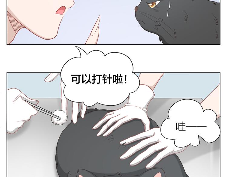 第58话 性感护工，在线撸猫55