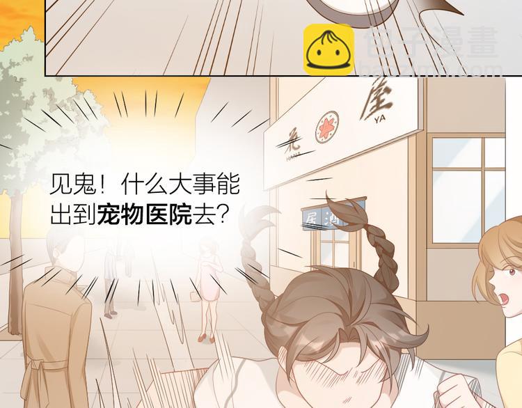 第58话 性感护工，在线撸猫76