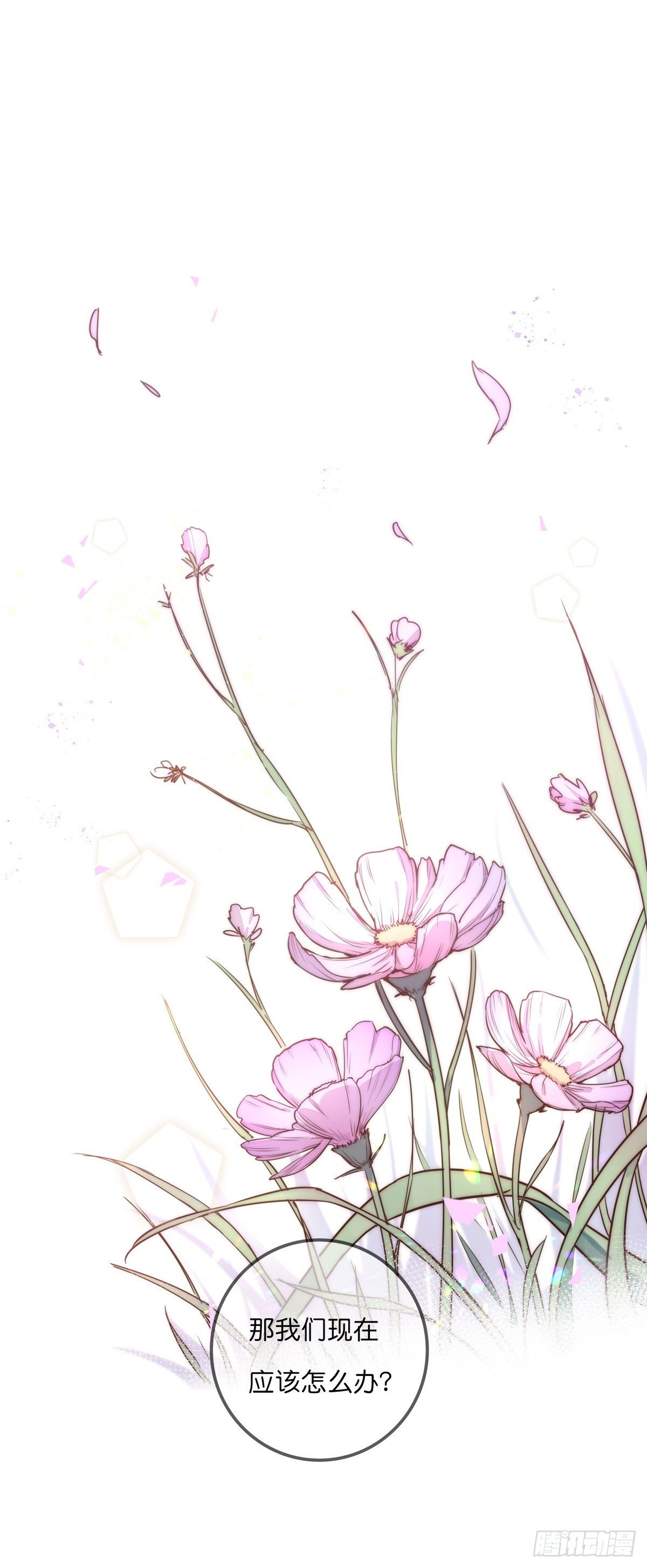 052 接下来怎么办？1