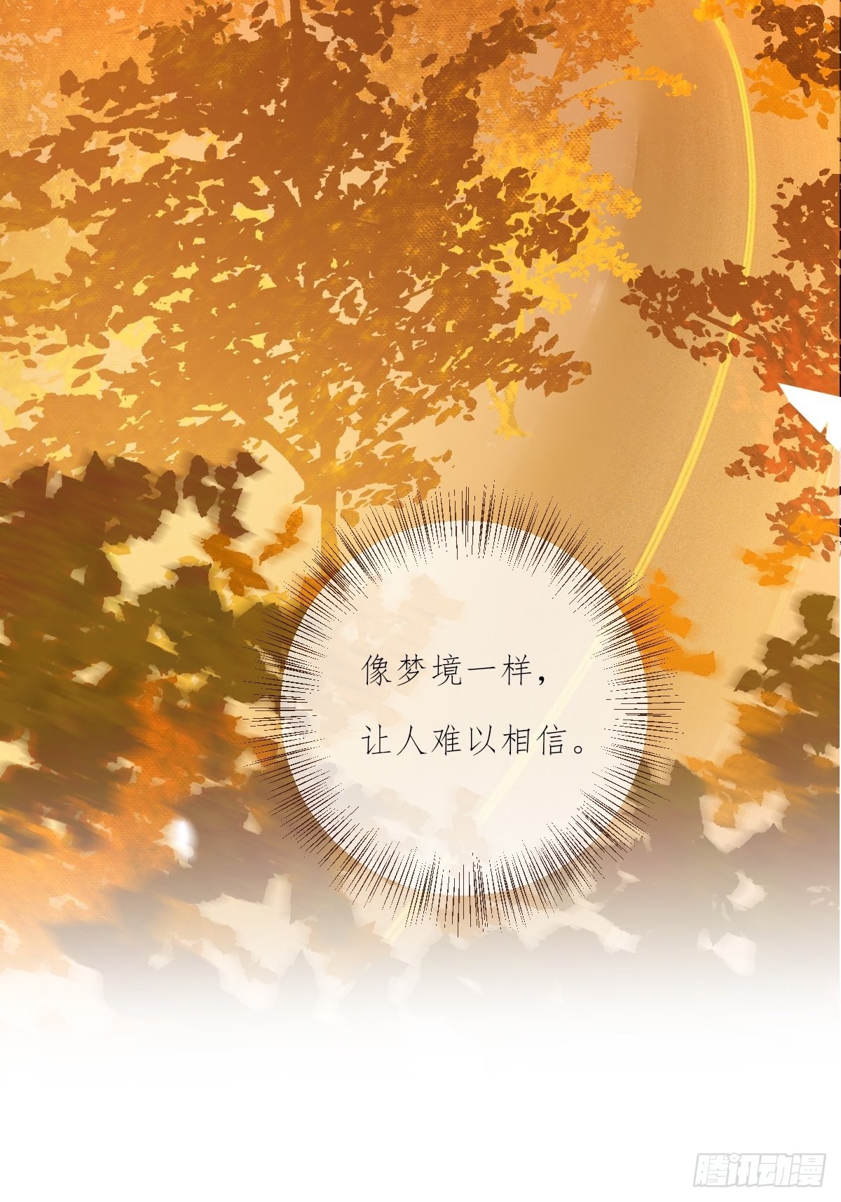 11-3 下 夕阳12
