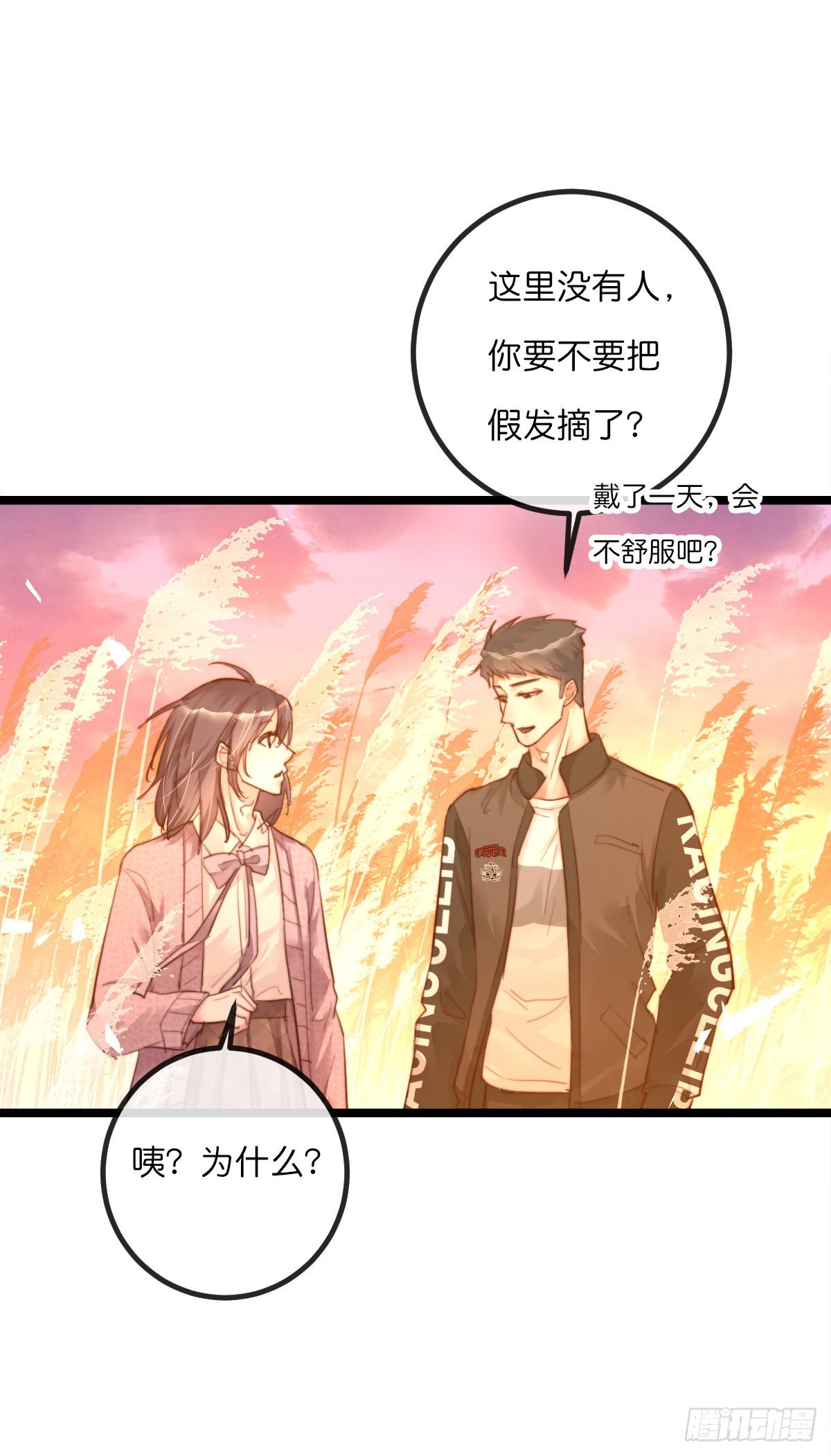 11-3 下 夕阳23