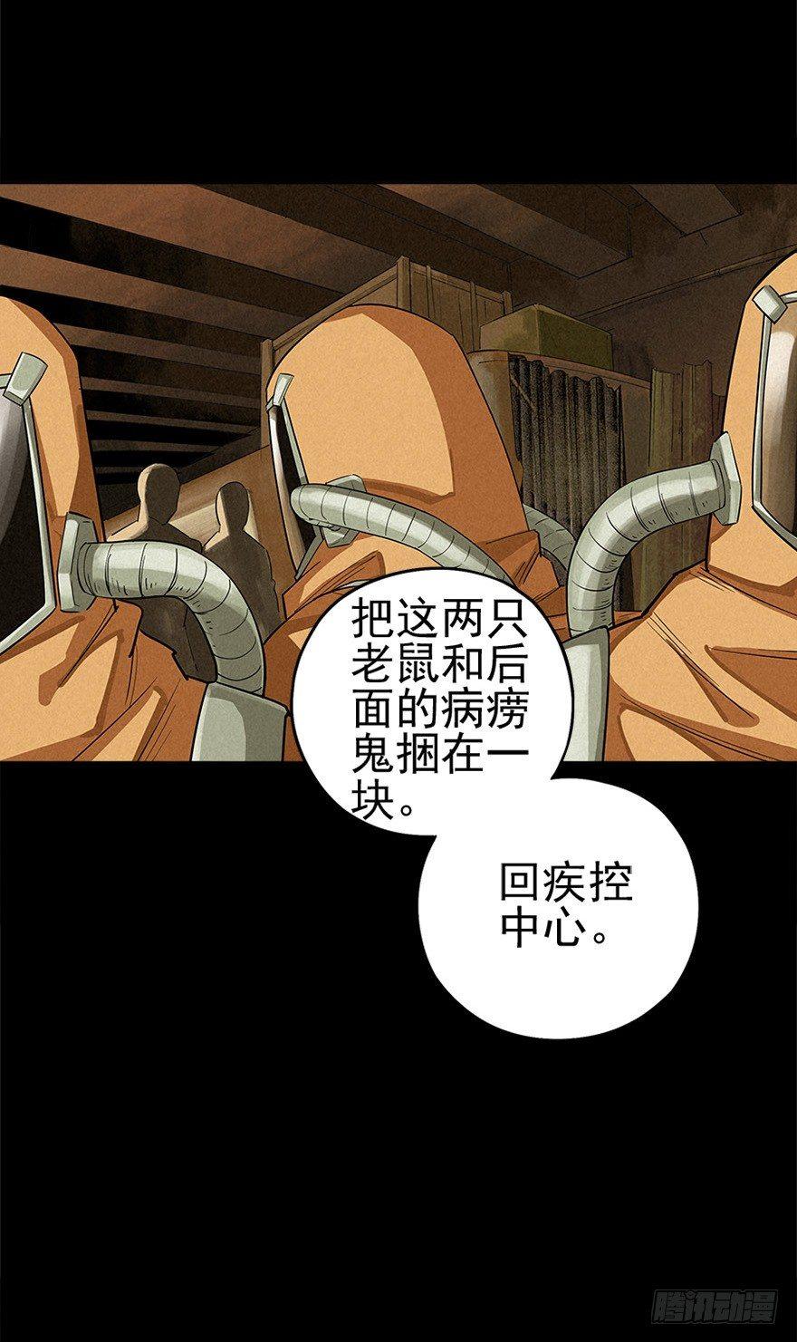 洞中鼠与笼中雀36