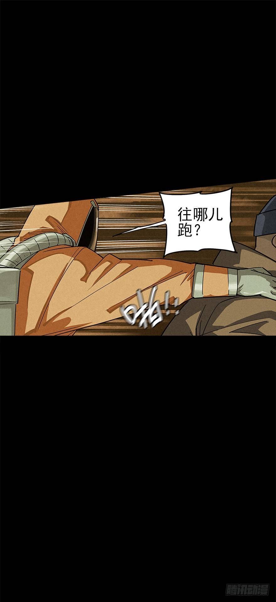 洞中鼠与笼中雀5