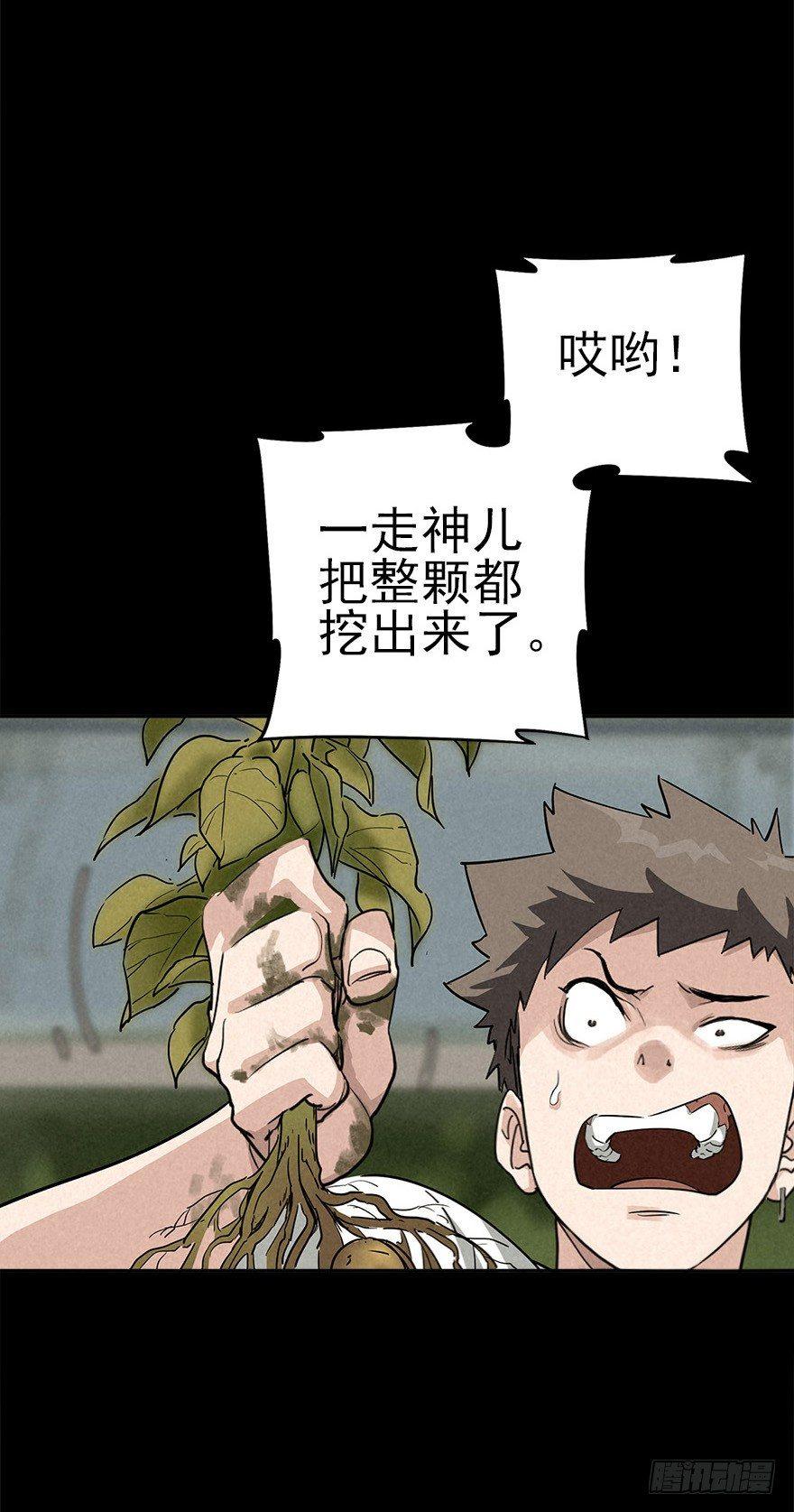 埋于暗影1