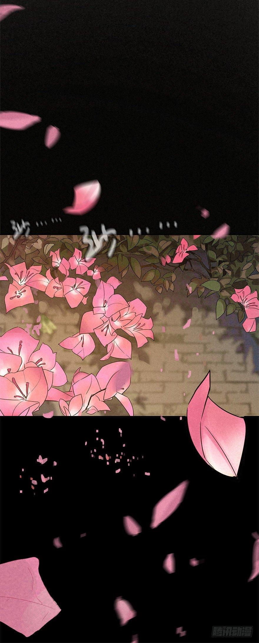 后山来客11