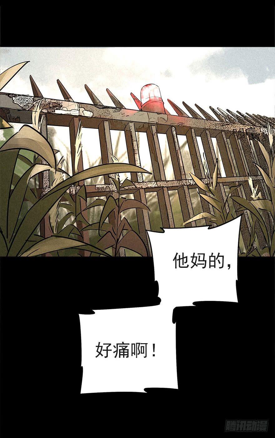 后山来客31