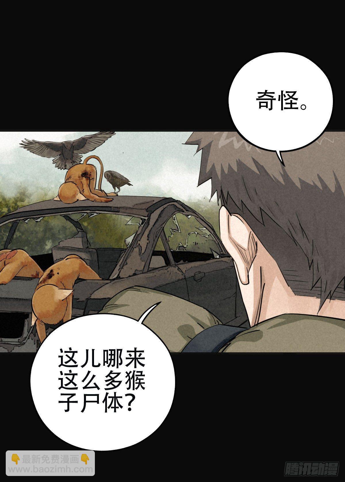 鸠占鹊巢14
