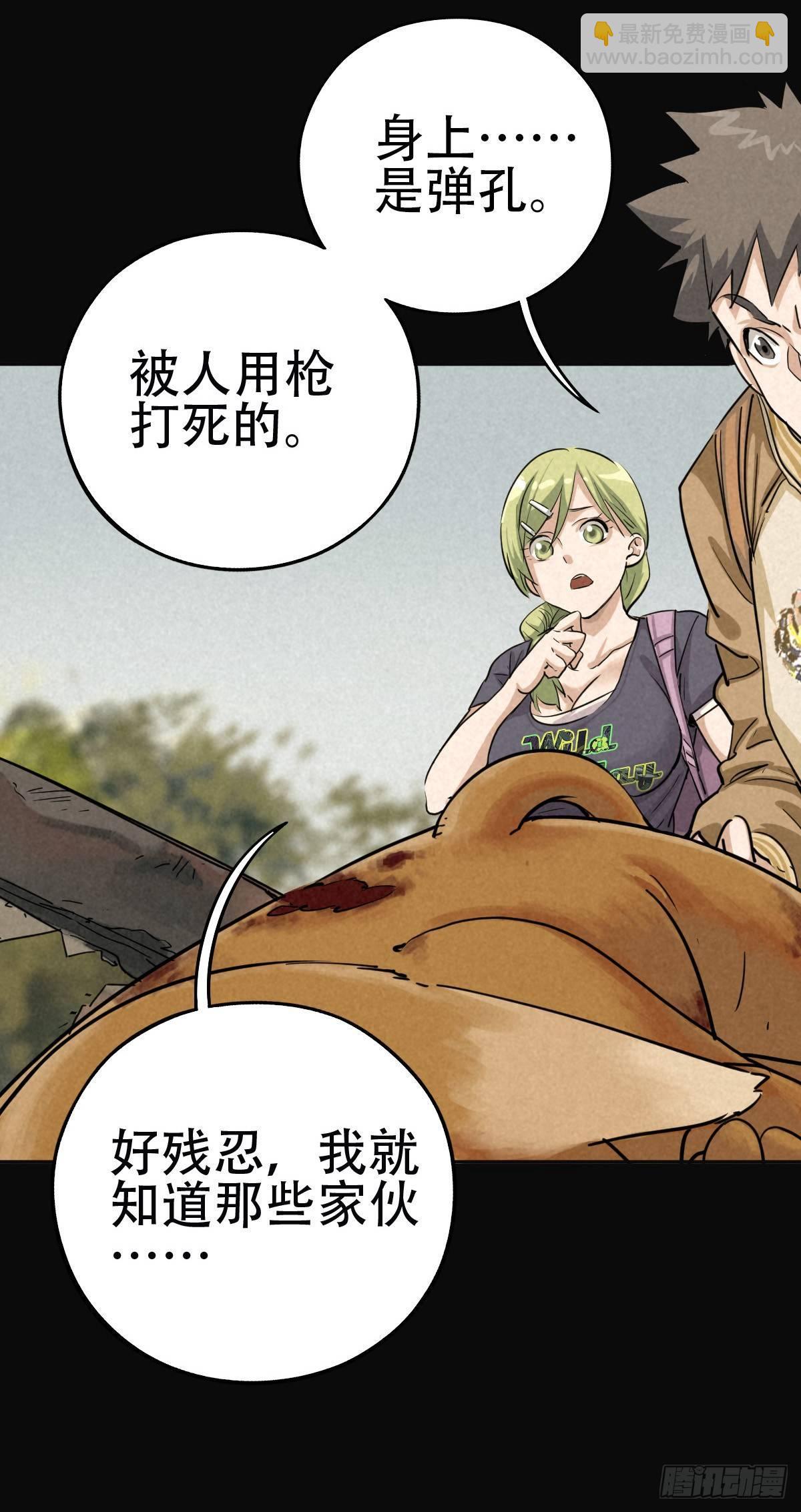 鸠占鹊巢15