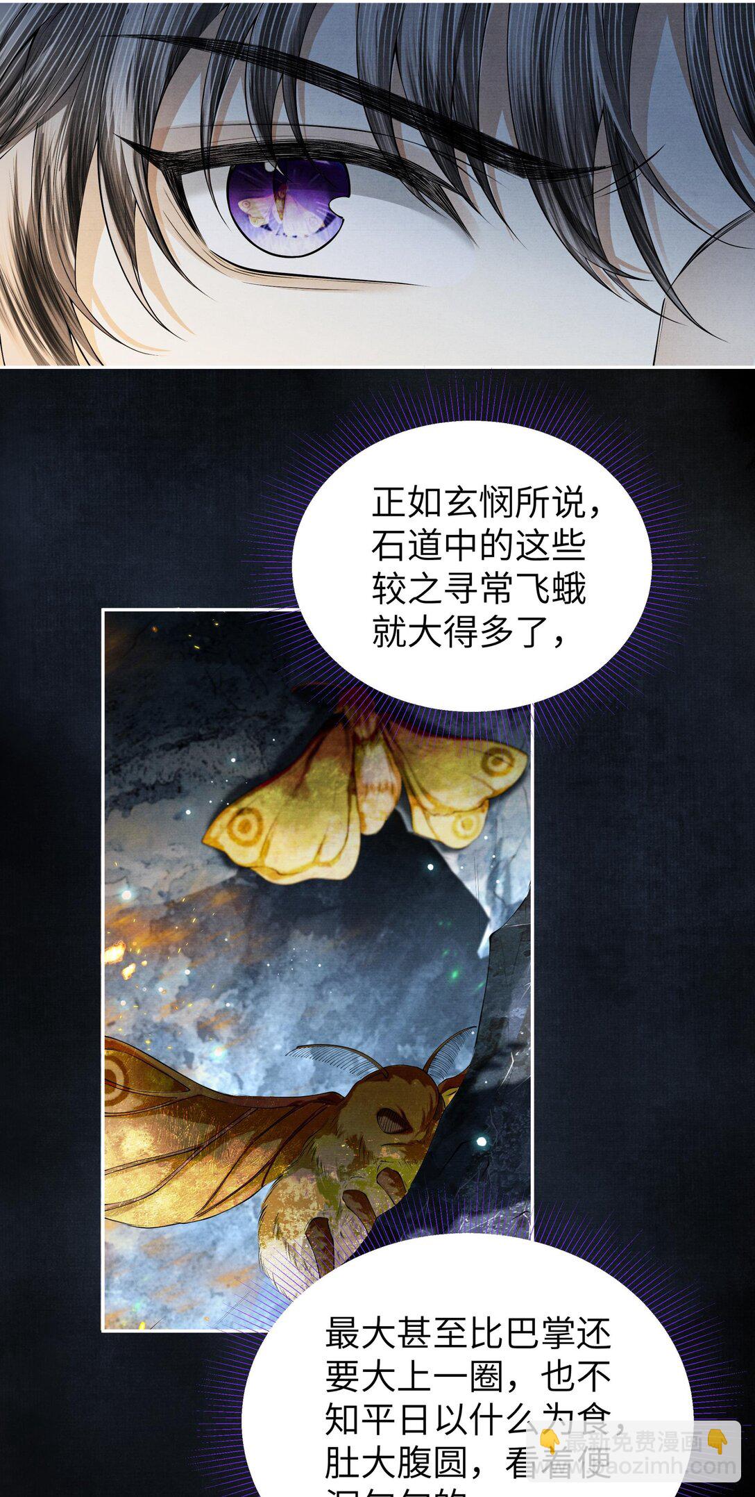 120 蚁群11