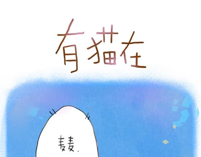 有猫在，不远行0