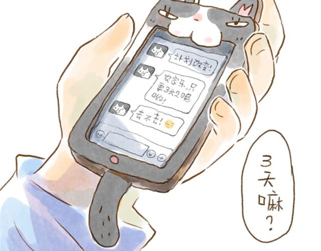 有猫在，不远行11