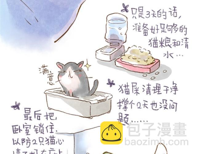 有猫在，不远行12